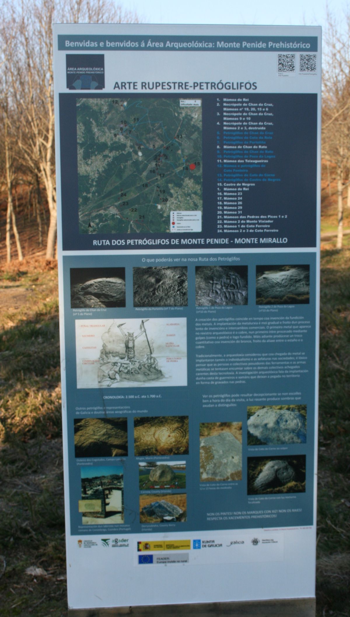 Área Arqueolóxica de Monte Penide